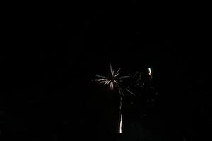 Colorful fireworks on the black sky photo