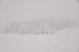 paisaje de bosque de montaña en un día de invierno brumoso foto