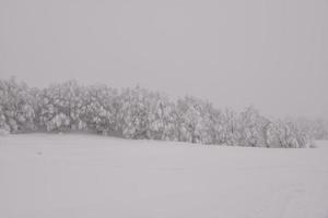 mountain forest landscape on a foggy winter day photo