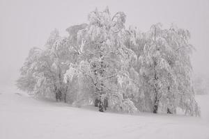 camino nevado de invierno en la región montañosa después de fuertes nevadas en rumania foto