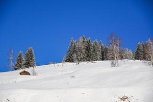 Winter landscape in Austrian Alps photo