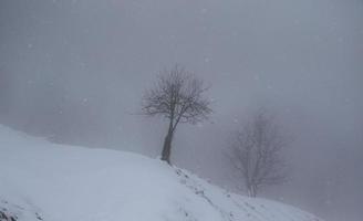 winter landscape in Austrian Alps photo