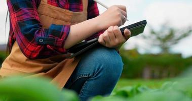Close up hands of young Female Agricultural Wear plaid shirt and apron Use Digital Pen and Tablet while Working in organic farm, Smart farmer with technology device concept