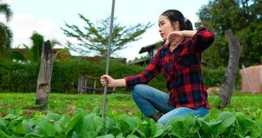 Handheld shot, young Female Agricultural Working in organic vegetable farm, Wear plaid shirt sitting and use hoeing planting kale in row, she wiping sweat with tired in hot day video
