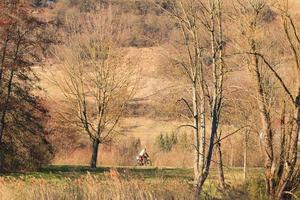 la gente está montando en bicicleta en un camino rural al atardecer a lo largo del río danubio en regensburg, alemania, europa. foto