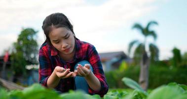 joven agricultora sosteniendo y buscando comprobar la salud del suelo y analizar la tierra mientras crece la verdura video