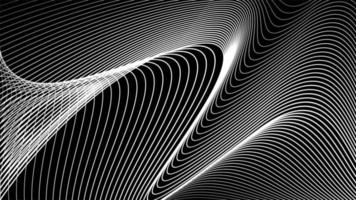 Black and white abstract lines background. Line wave design template. vector