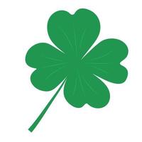 Clover with four leaves isolated on white background. Shamrock St Patrick Irish symbol. vector