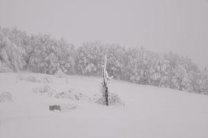 mountain forest landscape on a foggy winter day photo