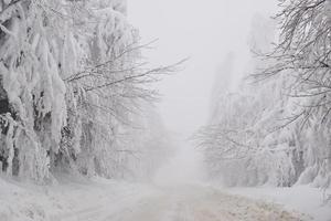 Winter snowy road in mountainous region after heavy snowfall in Romania photo