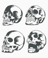 conjunto, de, cráneo humano, negro, vector, ilustración vector
