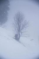 winter landscape in Austrian Alps photo