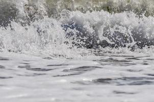 sea foam. splash water photo