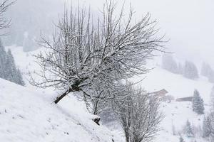 paisaje invernal en los alpes austríacos foto