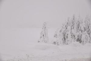 paisaje de bosque de montaña en un día de invierno brumoso foto