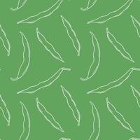 Seamless bean pattern in doodle style. Vector image.