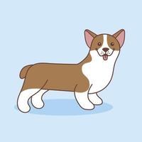 Vector cartoon illustration of a corgi dog. The dog stands with his tongue sticking out, isolated on a blue background. Pets, animals, dog-themed design element in a simple flat style.