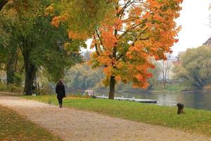 Happy young woman walking with her dog in park photo