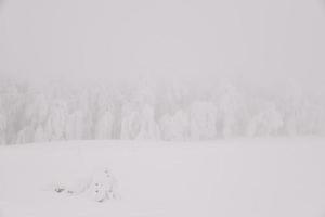 Winter snowy road in mountainous region after heavy snowfall in Romania photo