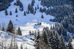 Winter landscape in Austrian Alps photo