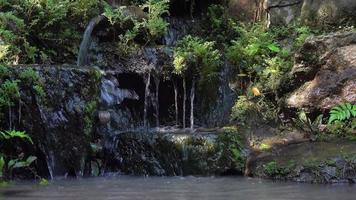 pequeña cascada en las imágenes del jardín video