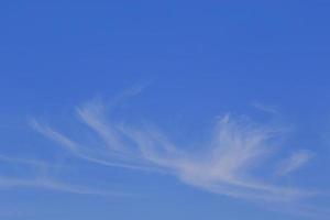 Clear blue sky and white clouds photo