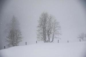 winter landscape in Austrian Alps photo