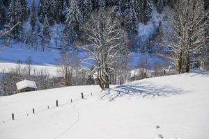 Winter landscape in Austrian Alps photo