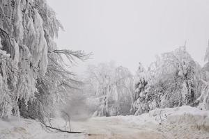 Winter snowy road in mountainous region after heavy snowfall in Romania photo