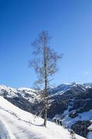 Winter landscape in Austrian Alps photo