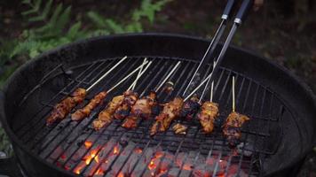 placering kokta kyckling satay på en tallrik video