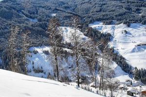 Winter landscape in Austrian Alps photo