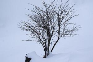 paisaje invernal en los alpes austríacos foto