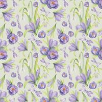 Watercolor hand drawn seamless pattern with spring flowers, crocus, snowdrops, leaves, stems. Isolated on color background Design for invitations, wedding, greeting cards, wallpaper, print, textile. vector