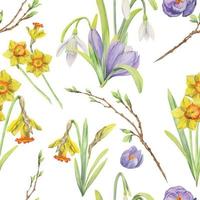 Watercolor hand drawn seamless pattern with spring flowers, daffodils, crocus, snowdrops. Isolated on white background Design for invitations, wedding, greeting cards, wallpaper, print, textile. vector