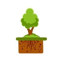 Root system of tree. Nature and forest. Layer of earth and soil. Plant growth. Summer season. Botany and forestry. Brown ground. Flat cartoon illustration vector
