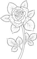 Rose vector art, monochrome floral pattern. ink vector illustration hand drawn pencil sketch, branch of botanical collaction simplicity, artistic, coloring book for children and adults.