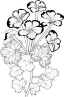 Geranium flower line art, vector illustration, hand-drawn pencil sketch, coloring book, and page, isolated on white background clip art.