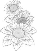 Sunflowers illustration coloring page, simplicity, Embellishment, monochrome, vector art, Outline print with blossoms sunflowe, leaves, and buds isolated on a white background.