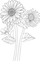 Isolated sunflower hand drawn vector sketch illustration, botanic collection branch of leaf buds natural collection coloring page floral bouquets engraved ink art.