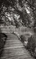 Landscape footbridge over turquoise water. Plitvice Lakes National Park Croatia. photo