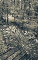 Landscape footbridge in the nature. Plitvice Lakes National Park Croatia. photo