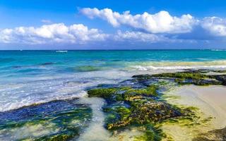 piedras rocas corales turquesa verde azul agua playa mexico. foto