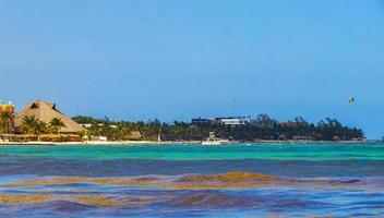 Tropical caribbean beach clear turquoise water Playa del Carmen Mexico. photo