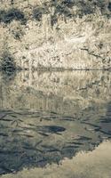 parque nacional de los lagos de plitvice croacia paisaje peces bajo aguas turquesas. foto