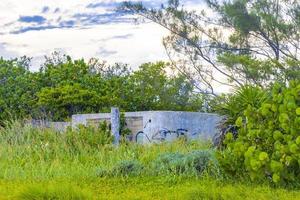 Palm beach and ruins in Playa del Carmen Mexico. photo