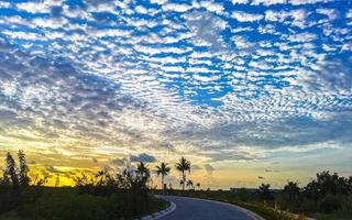 Beautiful colorful sunrise with shady palm trees in Mexico. photo