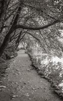 Landscape trail on turquoise lakes. Plitvice Lakes National Park Croatia. photo