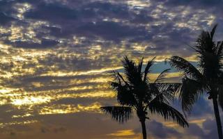 Beautiful colorful sunrise with shady palm trees in Mexico. photo