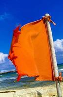 bandera roja nado prohibido olas altas playa del carmen mexico. foto